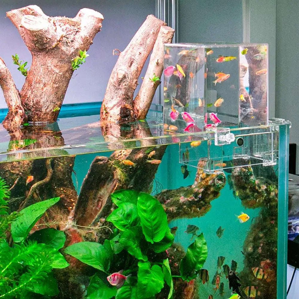 Inverted Aquarium Fish Tower