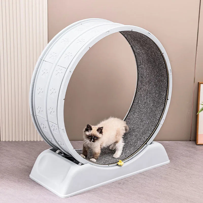 Cat Treadmill Exercise Wheel Indoor Gym