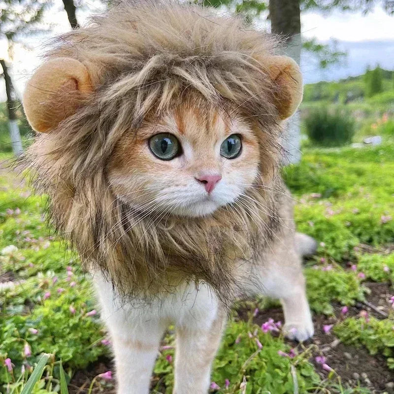 Cat Lion Mane Costume