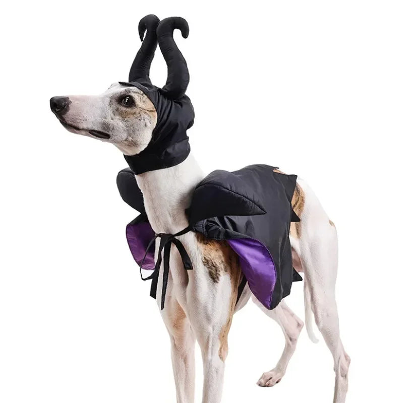 Cat Dog Maleficent Halloween Costume