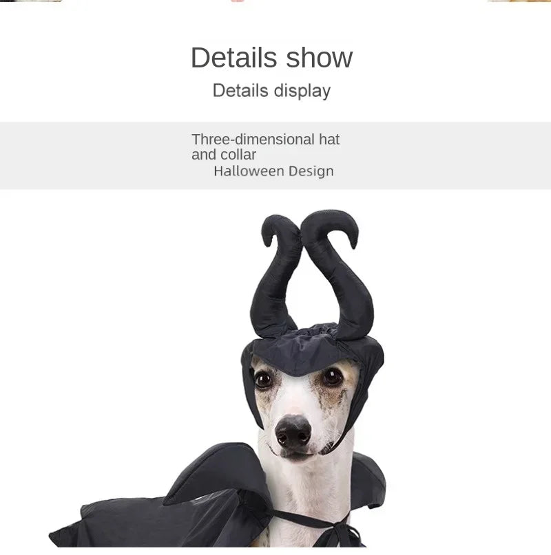 Cat Dog Maleficent Halloween Costume