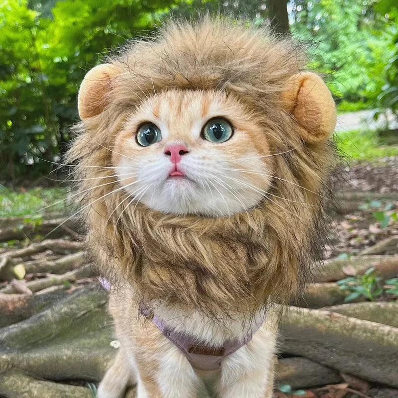 Cat Dog Lion Mane Costume