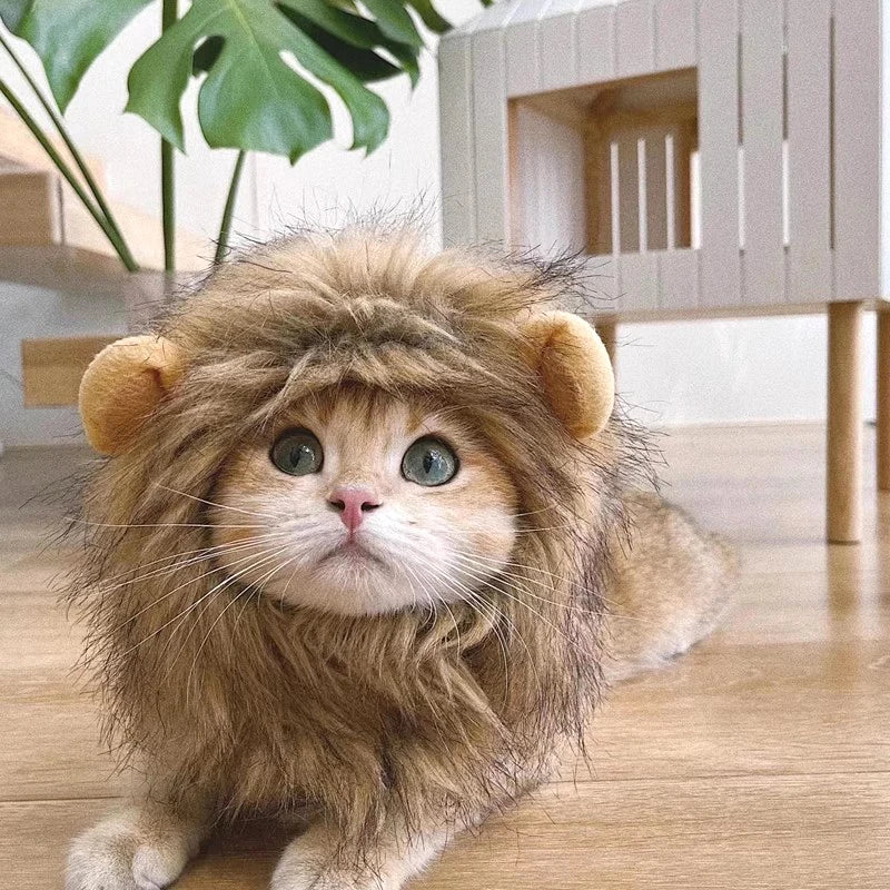 Cat Lion Mane Costume