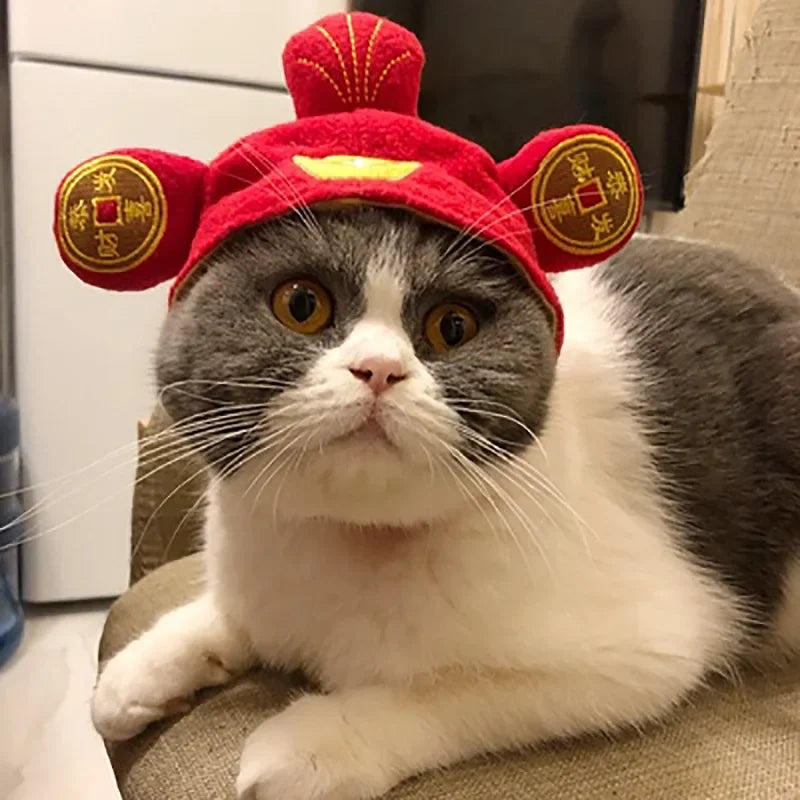 Puppy Cat Hat Party Costume