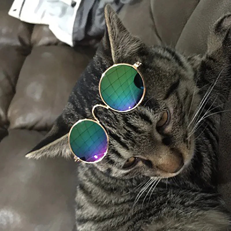 Cat Dog Vintage Sunglasses