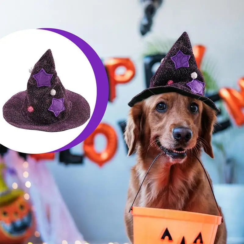 Cat Dog Vampire Cape & Witch Hat