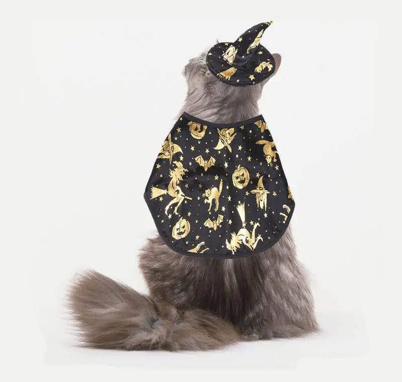 Cat Dog Witch Costume