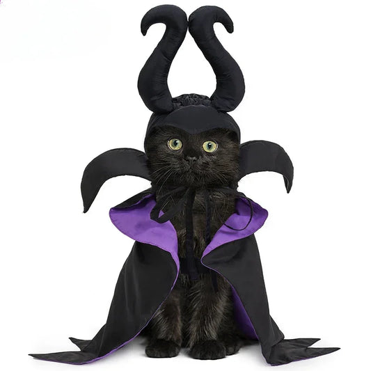 Cat Dog Maleficent Halloween Costume