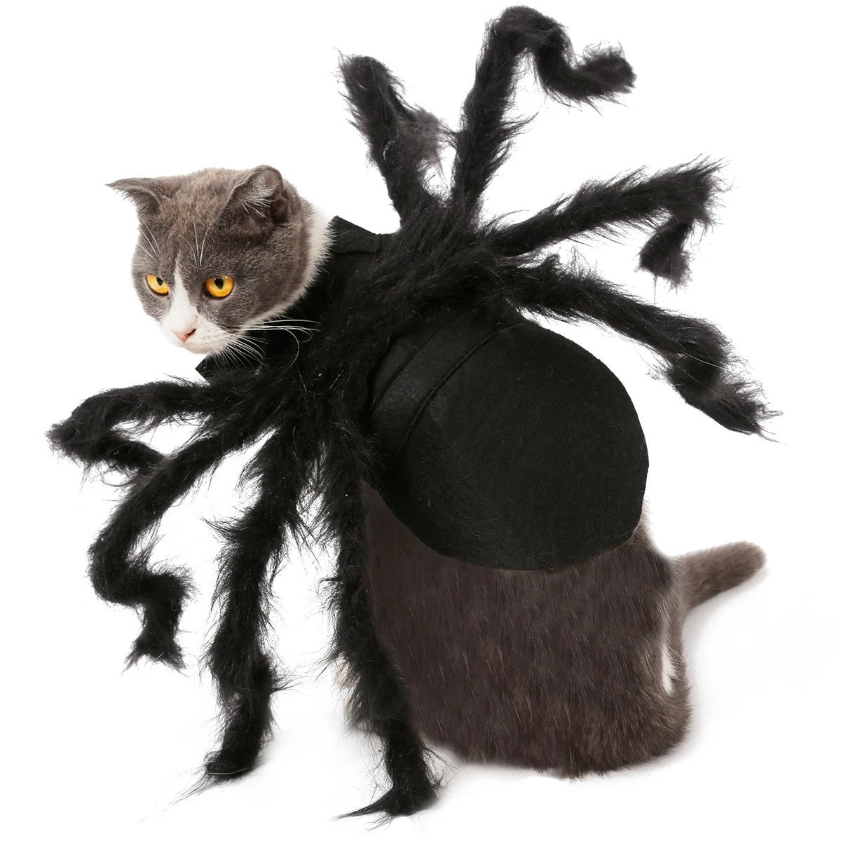 Cat Dog Spider Costume Halloween