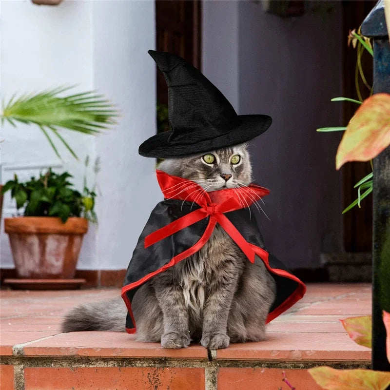 Cat Dog Vampire Halloween