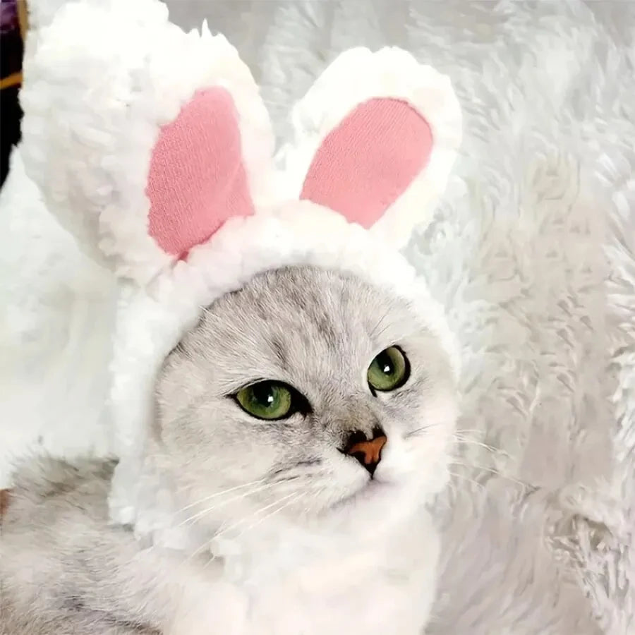 Cat Dog Rabbit Hat